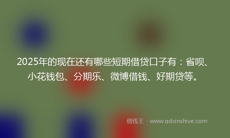 2025年的现在还有哪些短期借贷口子有：省呗、小花钱包、分期乐、微博借钱、好期贷等。
