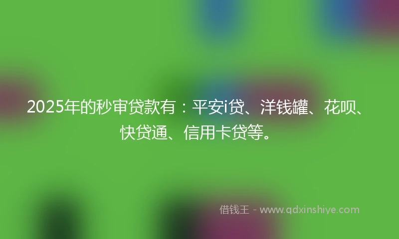 2025年的秒审贷款有：平安i贷、洋钱罐、花呗、快贷通、信用卡贷等。