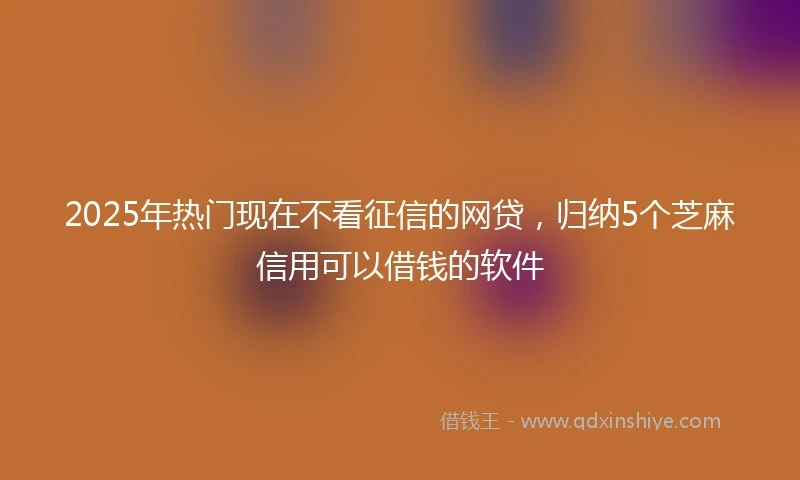 2025年热门现在不看征信的网贷，归纳5个芝麻信用可以借钱的软件