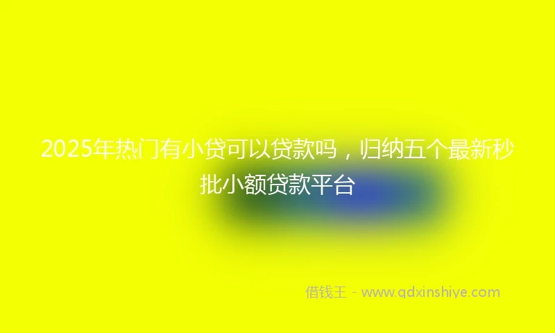 2025年热门有小贷可以贷款吗，归纳五个最新秒批小额贷款平台