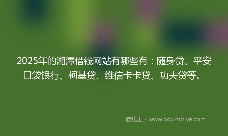 2025年的湘潭借钱网站有哪些有：随身贷、平安口袋银行、柯基贷、维信卡卡贷、功夫贷等。