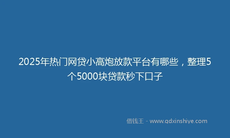 2025年热门网贷小高炮放款平台有哪些，整理5个5000块贷款秒下口子