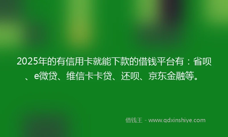 2025年的有信用卡就能下款的借钱平台有：省呗、e微贷、维信卡卡贷、还呗、京东金融等。