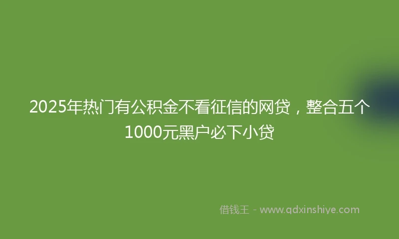 2025年热门有公积金不看征信的网贷，整合五个1000元黑户必下小贷