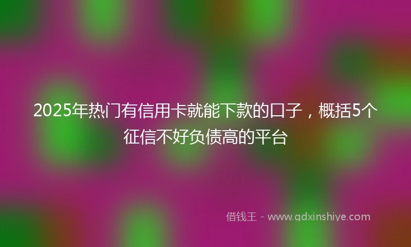 2025年热门有信用卡就能下款的口子，概括5个征信不好负债高的平台