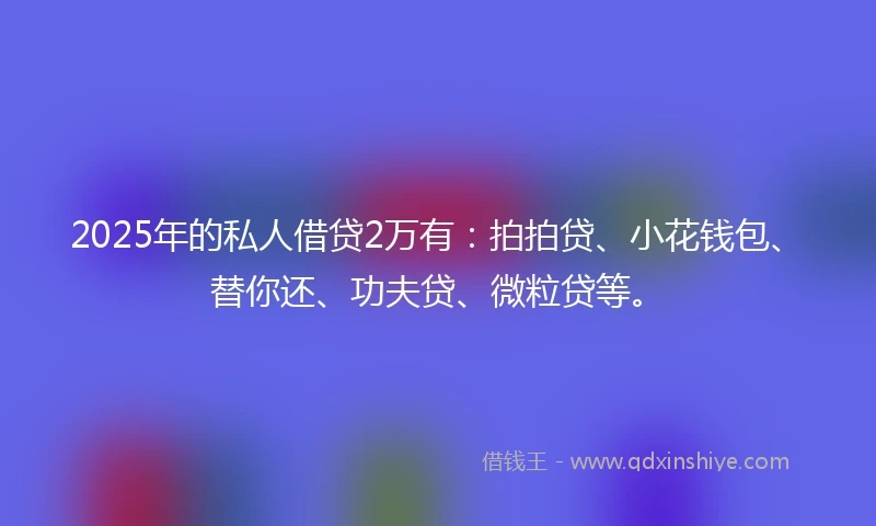 2025年的私人借贷2万有：拍拍贷、小花钱包、替你还、功夫贷、微粒贷等。