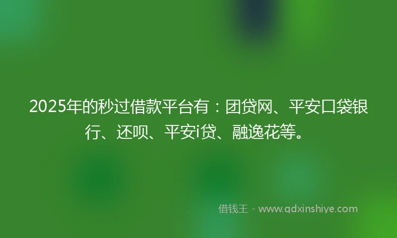 2025年的秒过借款平台有：团贷网、平安口袋银行、还呗、平安i贷、融逸花等。