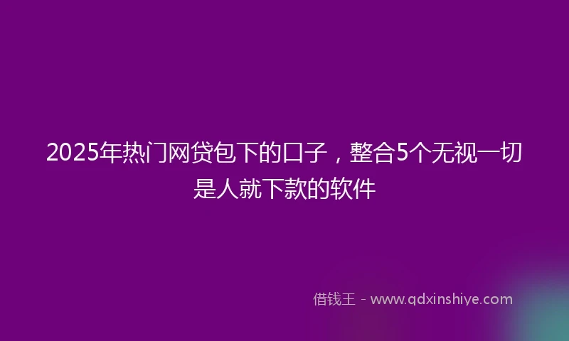 2025年热门网贷包下的口子，整合5个无视一切是人就下款的软件
