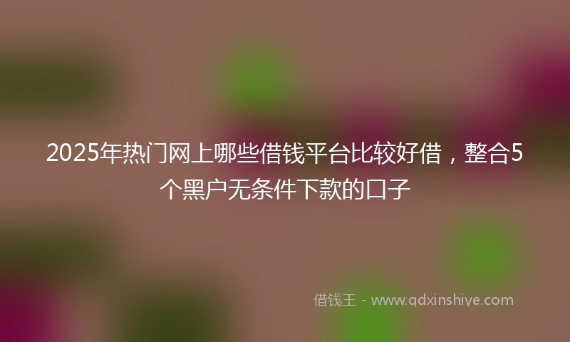 2025年热门网上哪些借钱平台比较好借，整合5个黑户无条件下款的口子