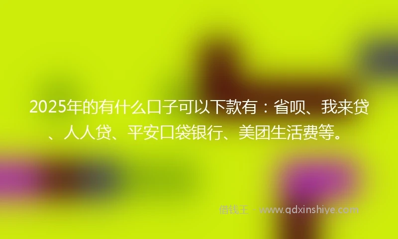2025年的有什么口子可以下款有：省呗、我来贷、人人贷、平安口袋银行、美团生活费等。