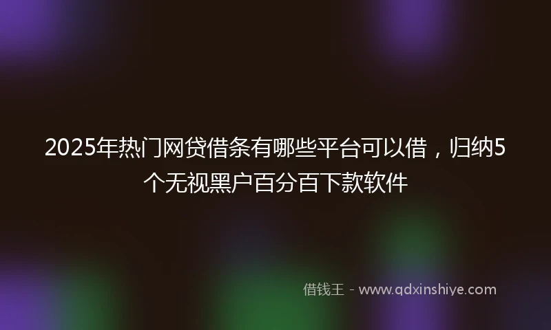 2025年热门网贷借条有哪些平台可以借，归纳5个无视黑户百分百下款软件