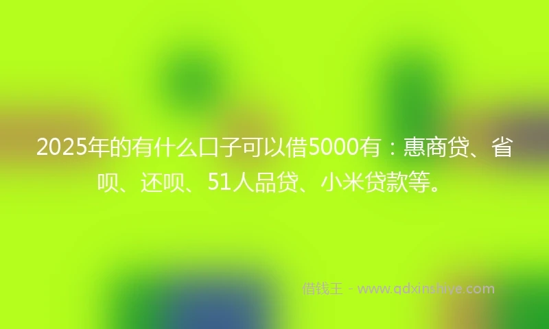 2025年的有什么口子可以借5000有：惠商贷、省呗、还呗、51人品贷、小米贷款等。