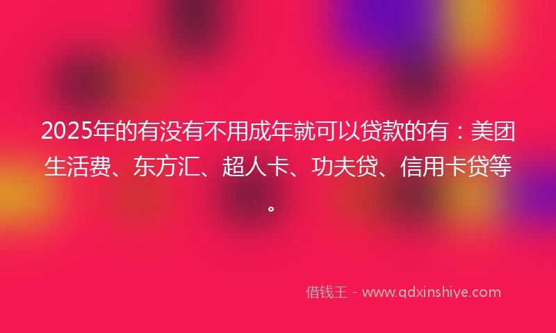 2025年的有没有不用成年就可以贷款的有：美团生活费、东方汇、超人卡、功夫贷、信用卡贷等。