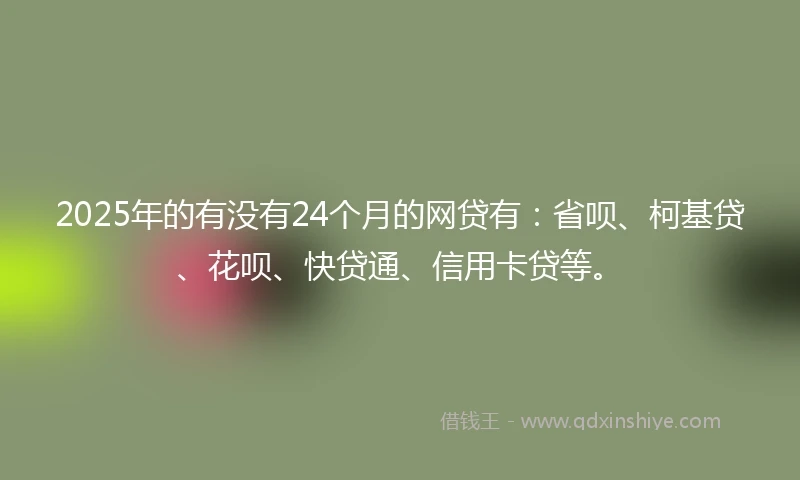 2025年的有没有24个月的网贷有：省呗、柯基贷、花呗、快贷通、信用卡贷等。