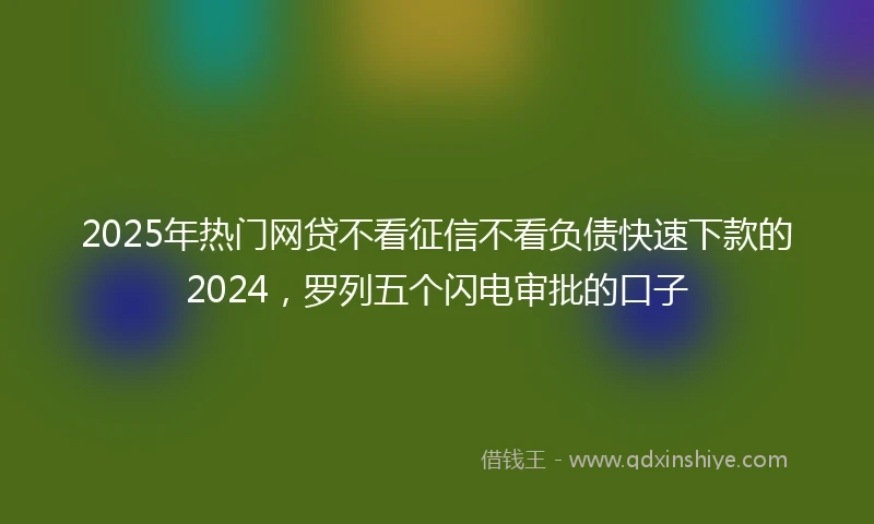 2025年热门网贷不看征信不看负债快速下款的2024,罗列五个闪电审批的口子