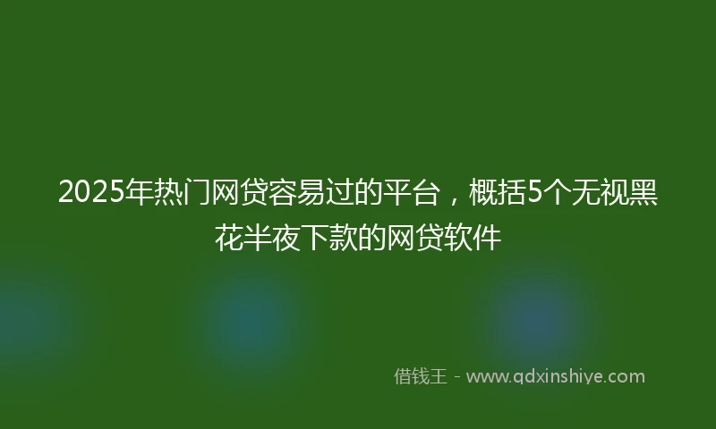 2025年热门网贷容易过的平台，概括5个无视黑花半夜下款的网贷软件