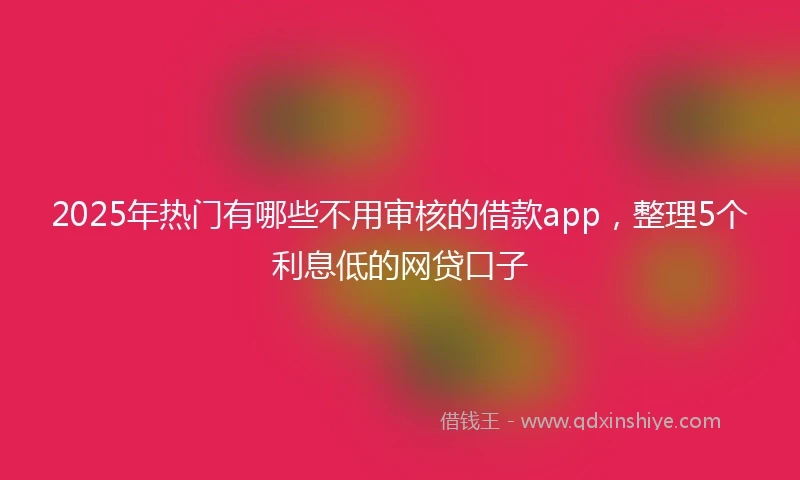 2025年热门有哪些不用审核的借款app，整理5个利息低的网贷口子