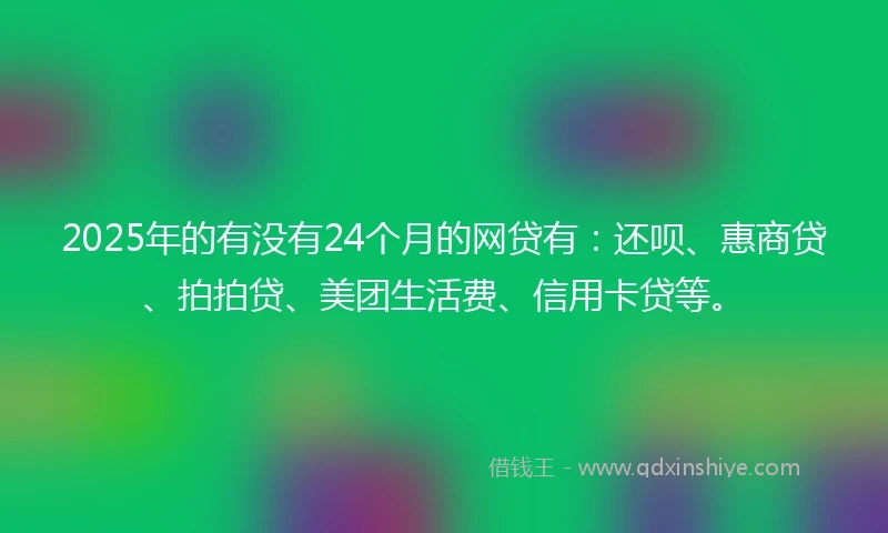 2025年的有没有24个月的网贷有：还呗、惠商贷、拍拍贷、美团生活费、信用卡贷等。