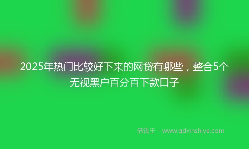 2025年热门比较好下来的网贷有哪些，整合5个无视黑户百分百下款口子