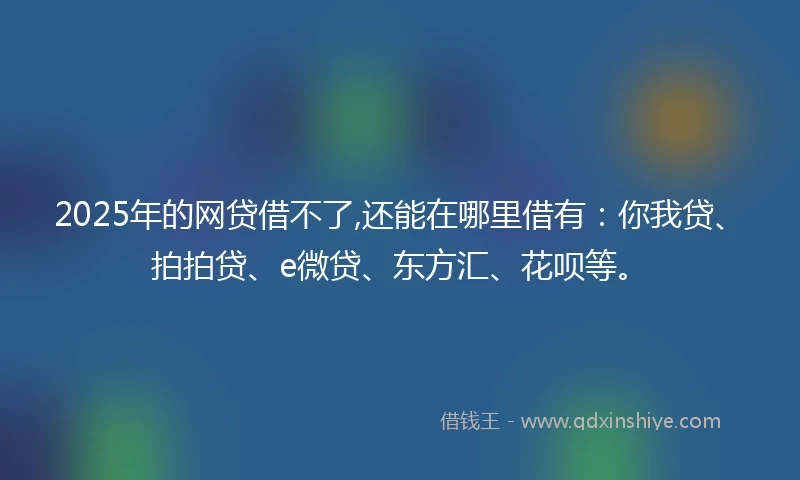 2025年的网贷借不了,还能在哪里借有：你我贷、拍拍贷、e微贷、东方汇、花呗等。