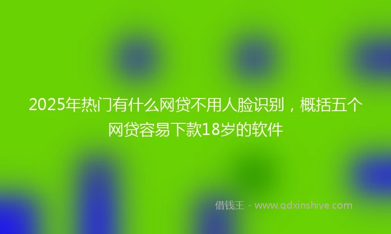 2025年热门有什么网贷不用人脸识别，概括五个网贷容易下款18岁的软件