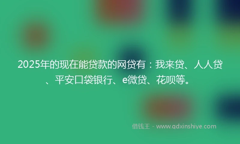 2025年的现在能贷款的网贷有：我来贷、人人贷、平安口袋银行、e微贷、花呗等。