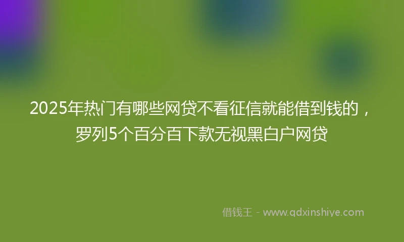 2025年热门有哪些网贷不看征信就能借到钱的，罗列5个百分百下款无视黑白户网贷
