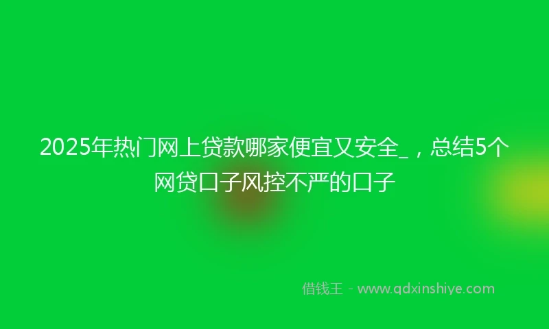 2025年热门网上贷款哪家便宜又安全_，总结5个网贷口子风控不严的口子