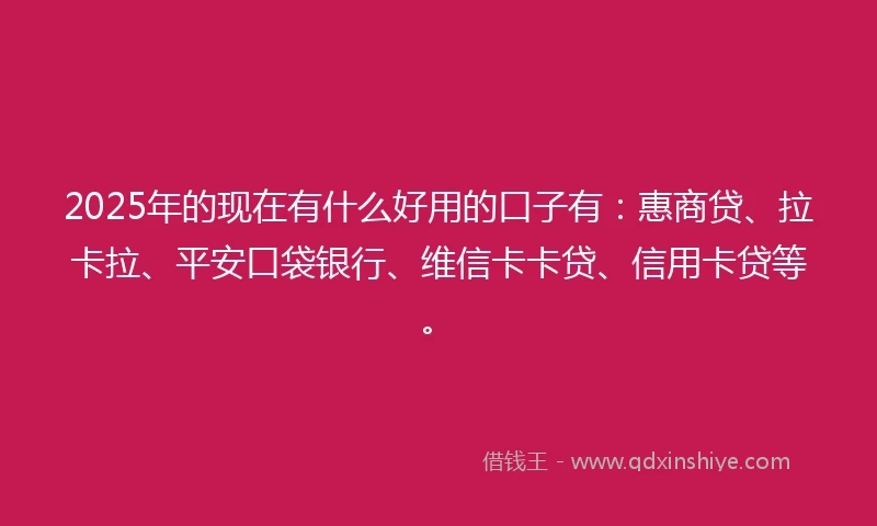 2025年的现在有什么好用的口子有：惠商贷、拉卡拉、平安口袋银行、维信卡卡贷、信用卡贷等。