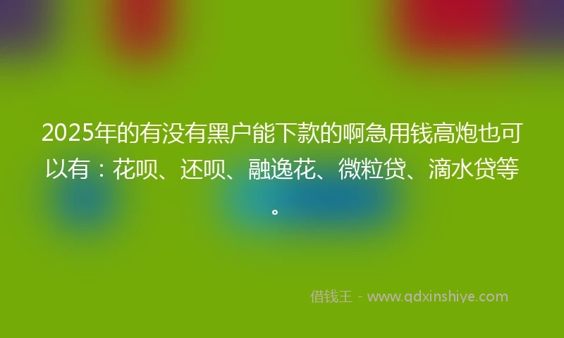 2025年的有没有黑户能下款的啊急用钱高炮也可以有：花呗、还呗、融逸花、微粒贷、滴水贷等。
