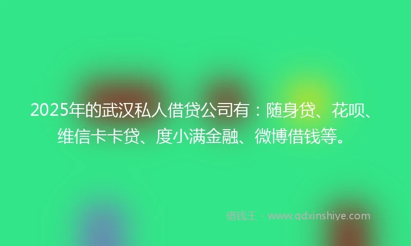 2025年的武汉私人借贷公司有：随身贷、花呗、维信卡卡贷、度小满金融、微博借钱等。