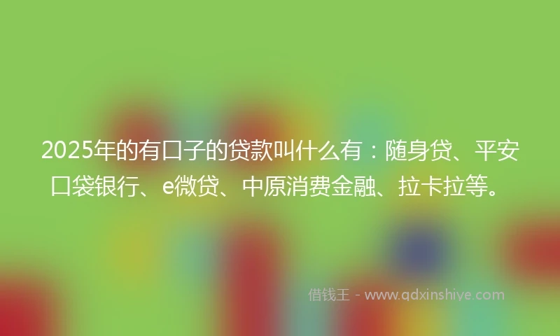 2025年的有口子的贷款叫什么有：随身贷、平安口袋银行、e微贷、中原消费金融、拉卡拉等。