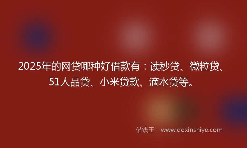 2025年的网贷哪种好借款有：读秒贷、微粒贷、51人品贷、小米贷款、滴水贷等。