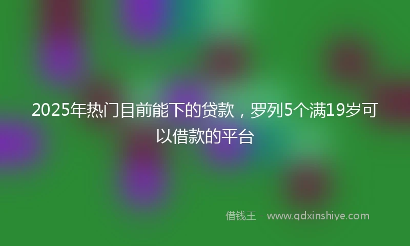 2025年热门目前能下的贷款，罗列5个满19岁可以借款的平台