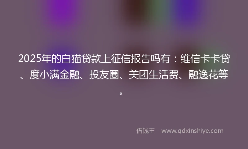2025年的白猫贷款上征信报告吗有：维信卡卡贷、度小满金融、投友圈、美团生活费、融逸花等。