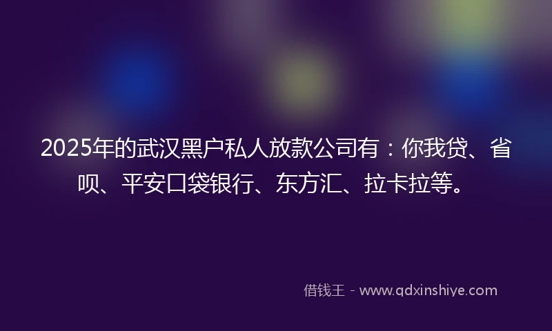 2025年的武汉黑户私人放款公司有：你我贷、省呗、平安口袋银行、东方汇、拉卡拉等。