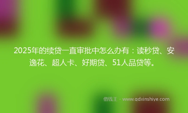 2025年的续贷一直审批中怎么办有：读秒贷、安逸花、超人卡、好期贷、51人品贷等。