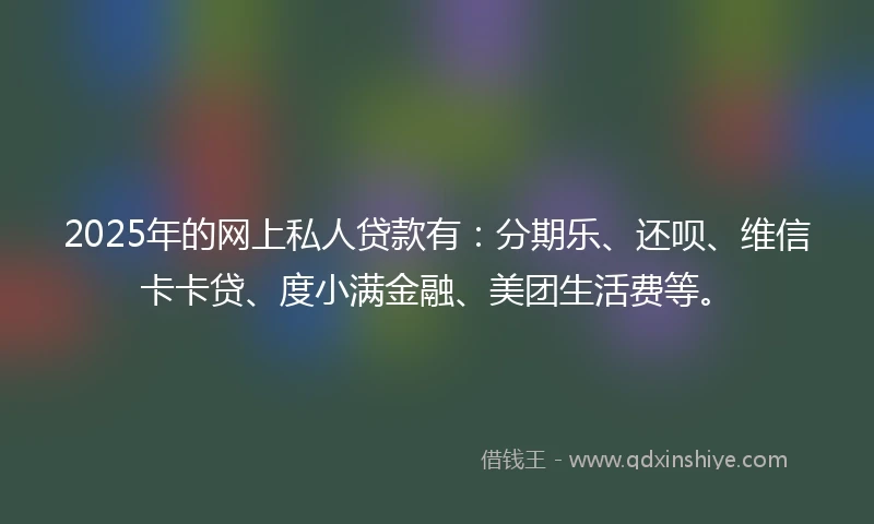 2025年的网上私人贷款有：分期乐、还呗、维信卡卡贷、度小满金融、美团生活费等。