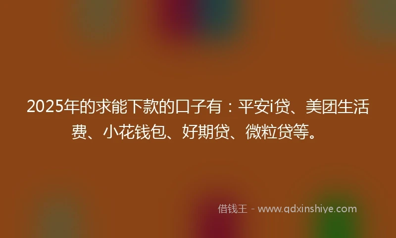 2025年的求能下款的口子有：平安i贷、美团生活费、小花钱包、好期贷、微粒贷等。