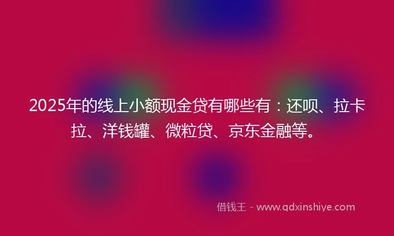 2025年的线上小额现金贷有哪些有：还呗、拉卡拉、洋钱罐、微粒贷、京东金融等。