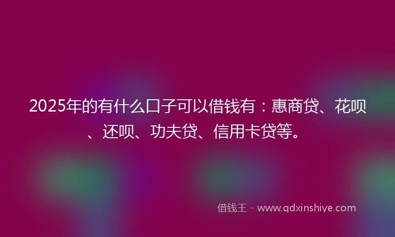2025年的有什么口子可以借钱有：惠商贷、花呗、还呗、功夫贷、信用卡贷等。