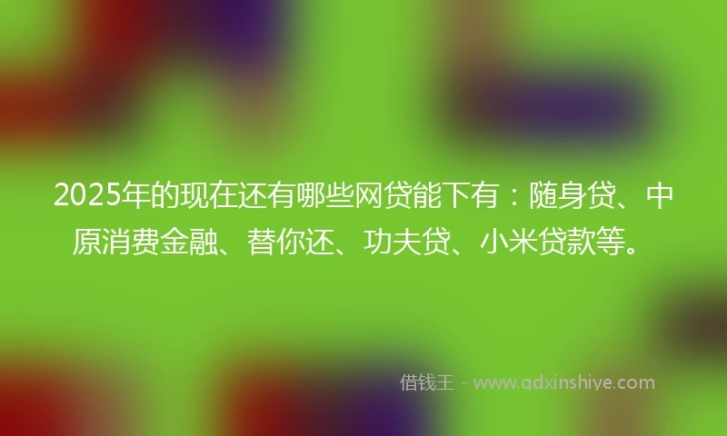 2025年的现在还有哪些网贷能下有：随身贷、中原消费金融、替你还、功夫贷、小米贷款等。