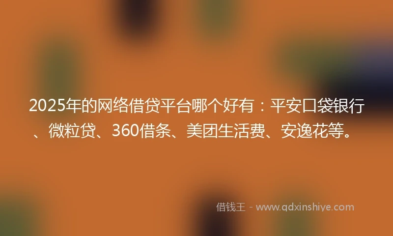 2025年的网络借贷平台哪个好有：平安口袋银行、微粒贷、360借条、美团生活费、安逸花等。