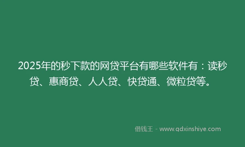 2025年的秒下款的网贷平台有哪些软件有：读秒贷、惠商贷、人人贷、快贷通、微粒贷等。