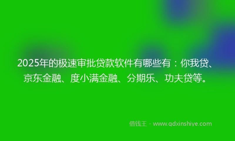 2025年的极速审批贷款软件有哪些有：你我贷、京东金融、度小满金融、分期乐、功夫贷等。