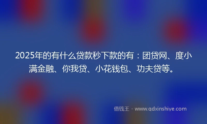 2025年的有什么贷款秒下款的有：团贷网、度小满金融、你我贷、小花钱包、功夫贷等。