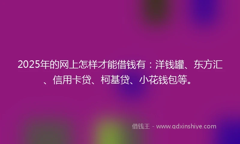 2025年的网上怎样才能借钱有：洋钱罐、东方汇、信用卡贷、柯基贷、小花钱包等。