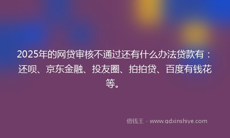 2025年的网贷审核不通过还有什么办法贷款有：还呗、京东金融、投友圈、拍拍贷、百度有钱花等。