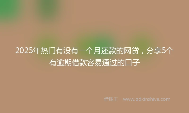 2025年热门有没有一个月还款的网贷，分享5个有逾期借款容易通过的口子