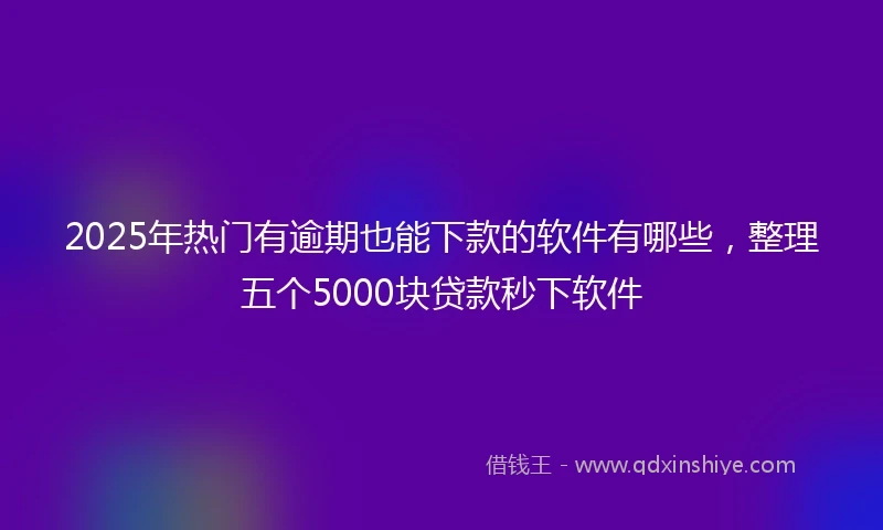 2025年热门有逾期也能下款的软件有哪些，整理五个5000块贷款秒下软件